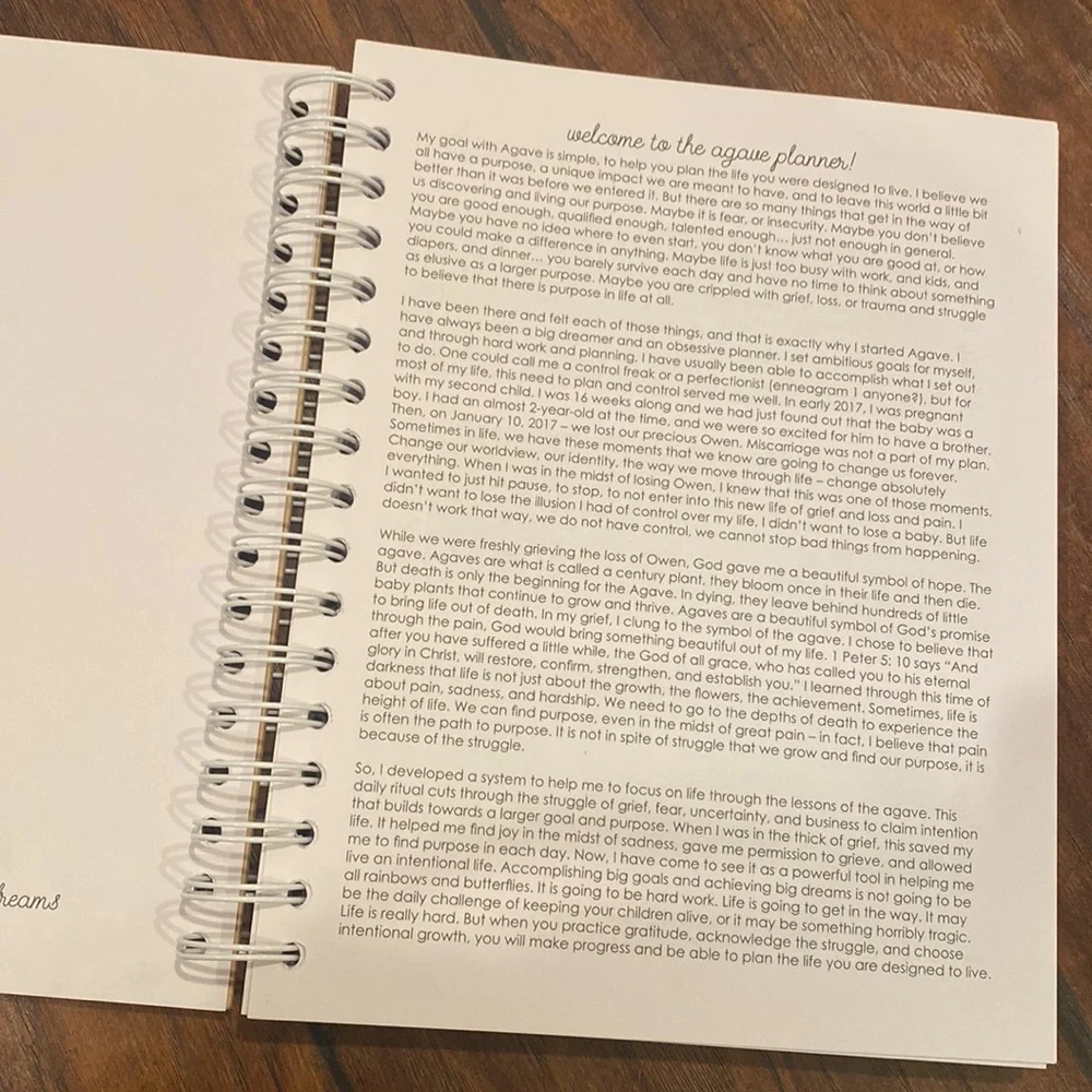 brand new agave undated planner/journal